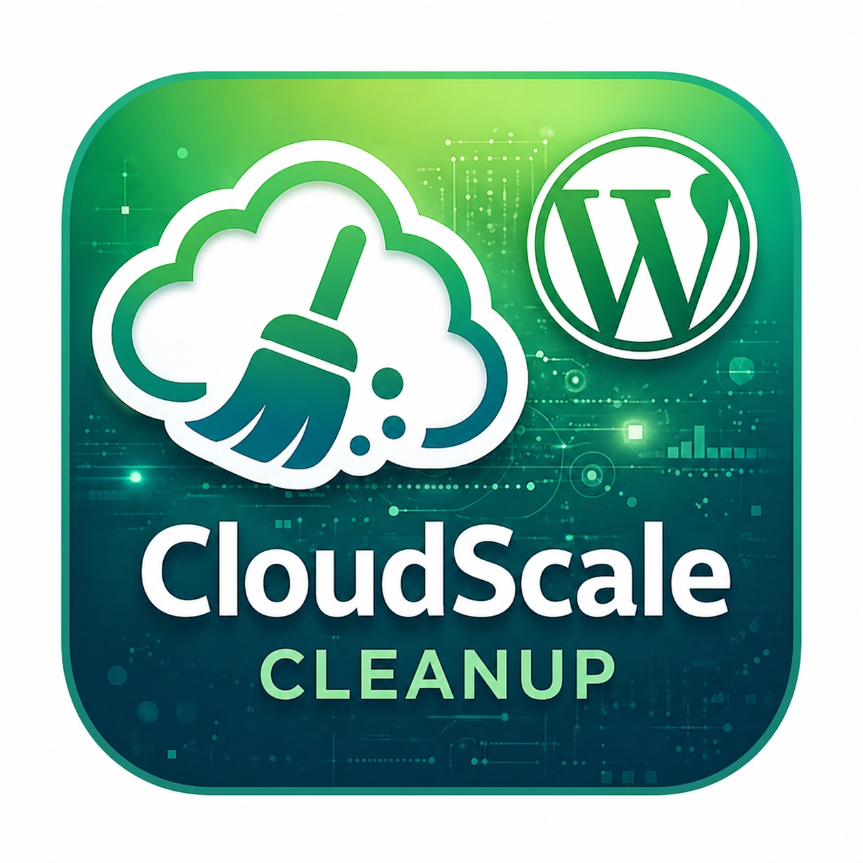 CloudScale Database Cleanup icon