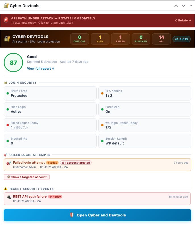 AI Security Audit
